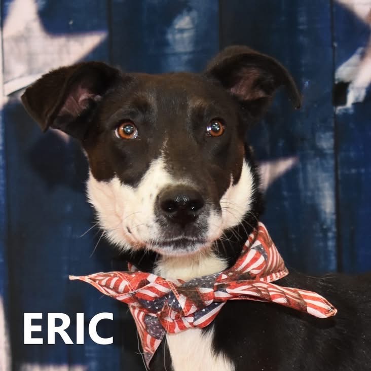 Eric