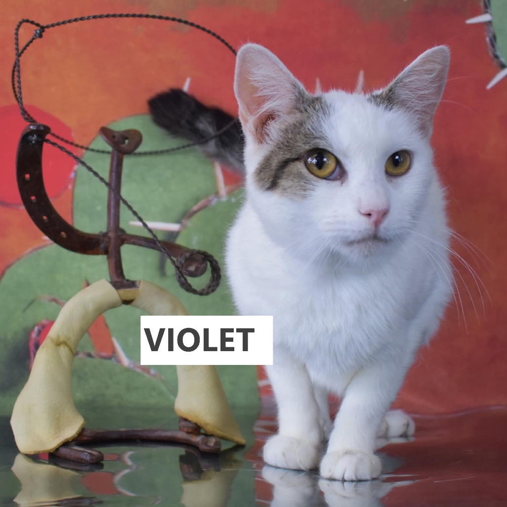 Violet