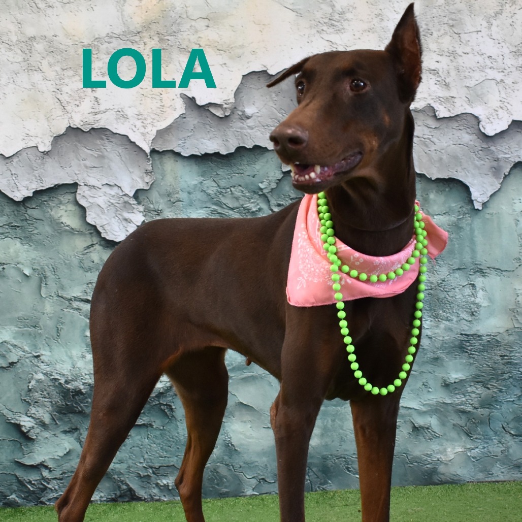 Lola