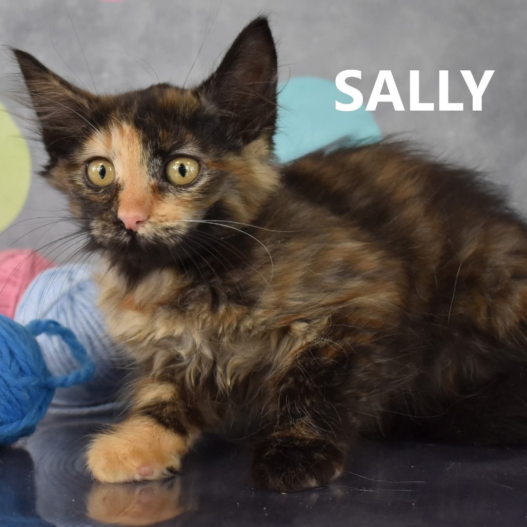 Sally