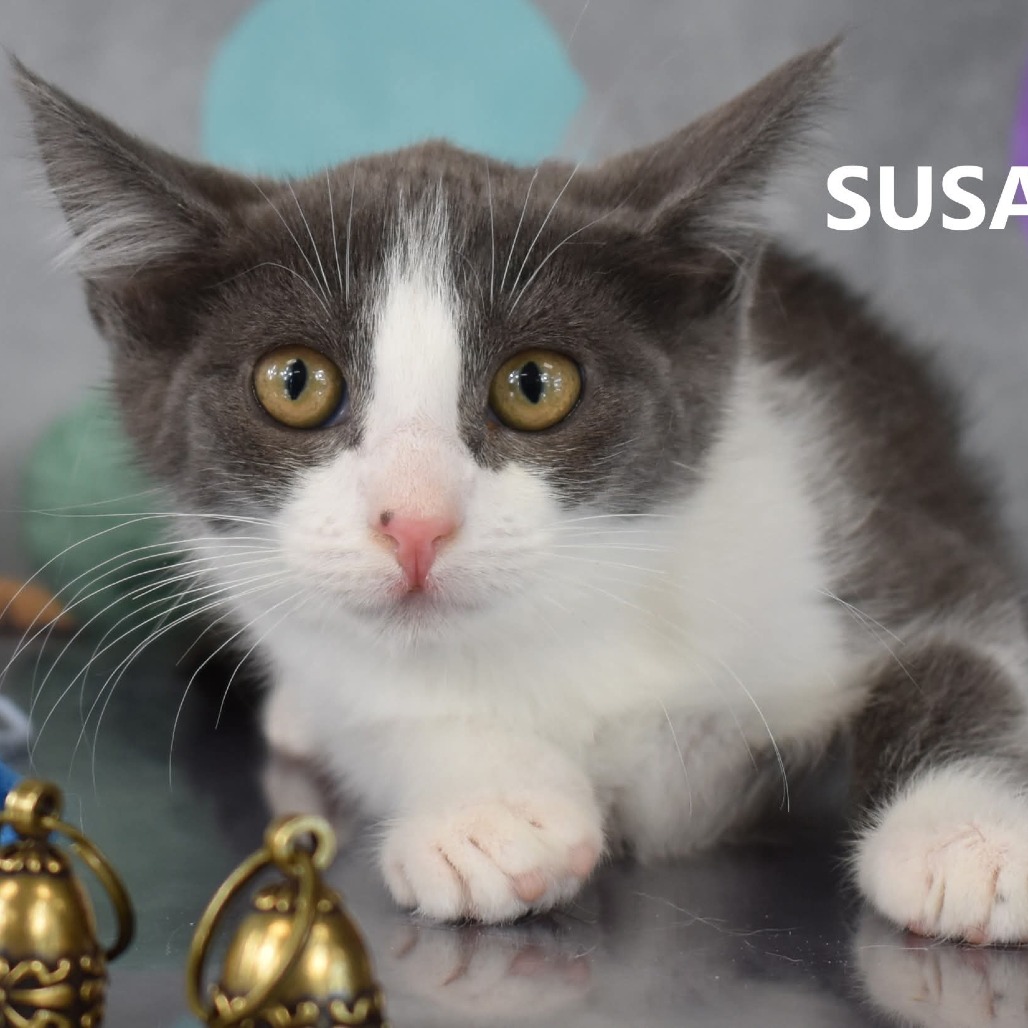 Susan