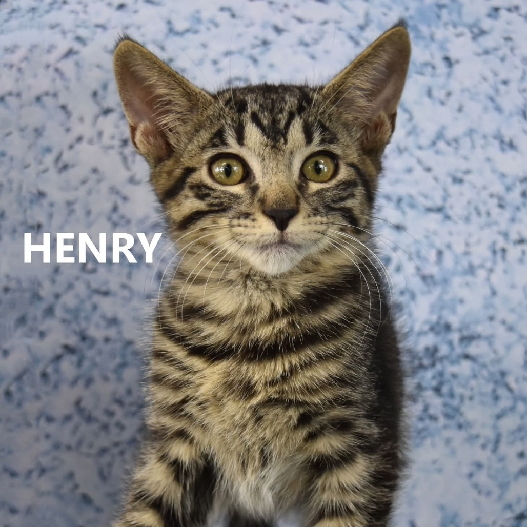 Henry