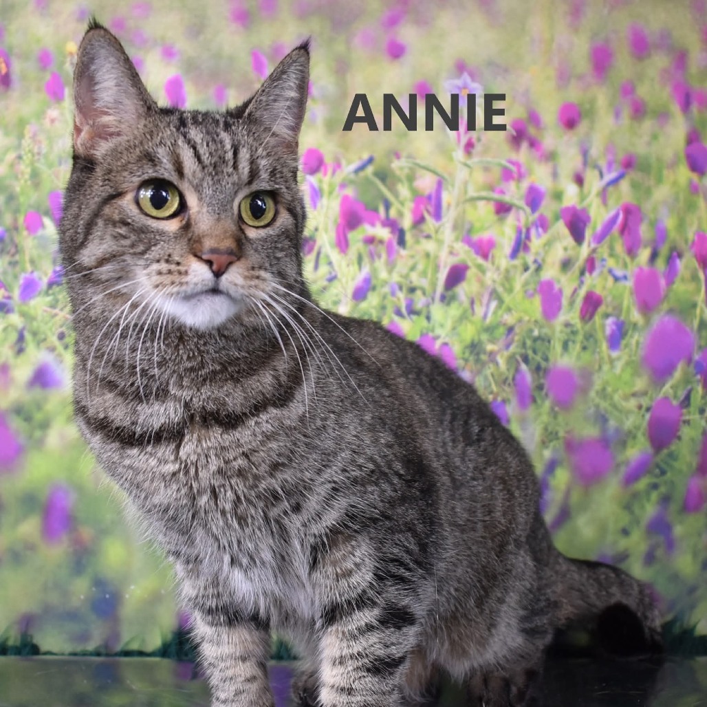 Annie