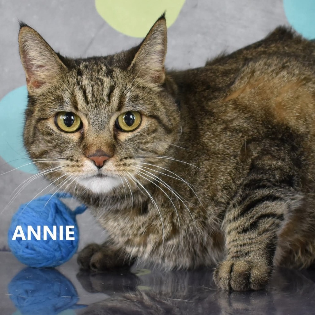 Annie