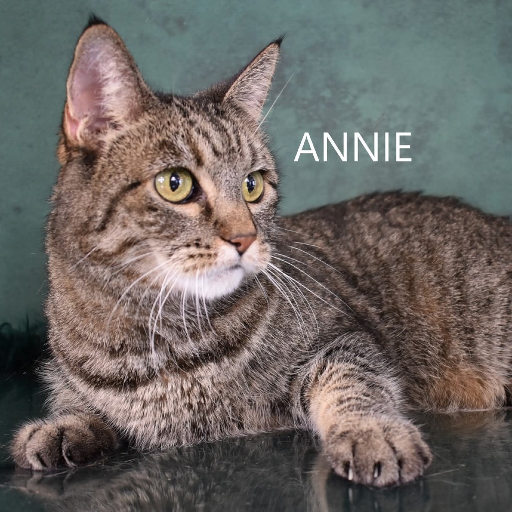 Annie