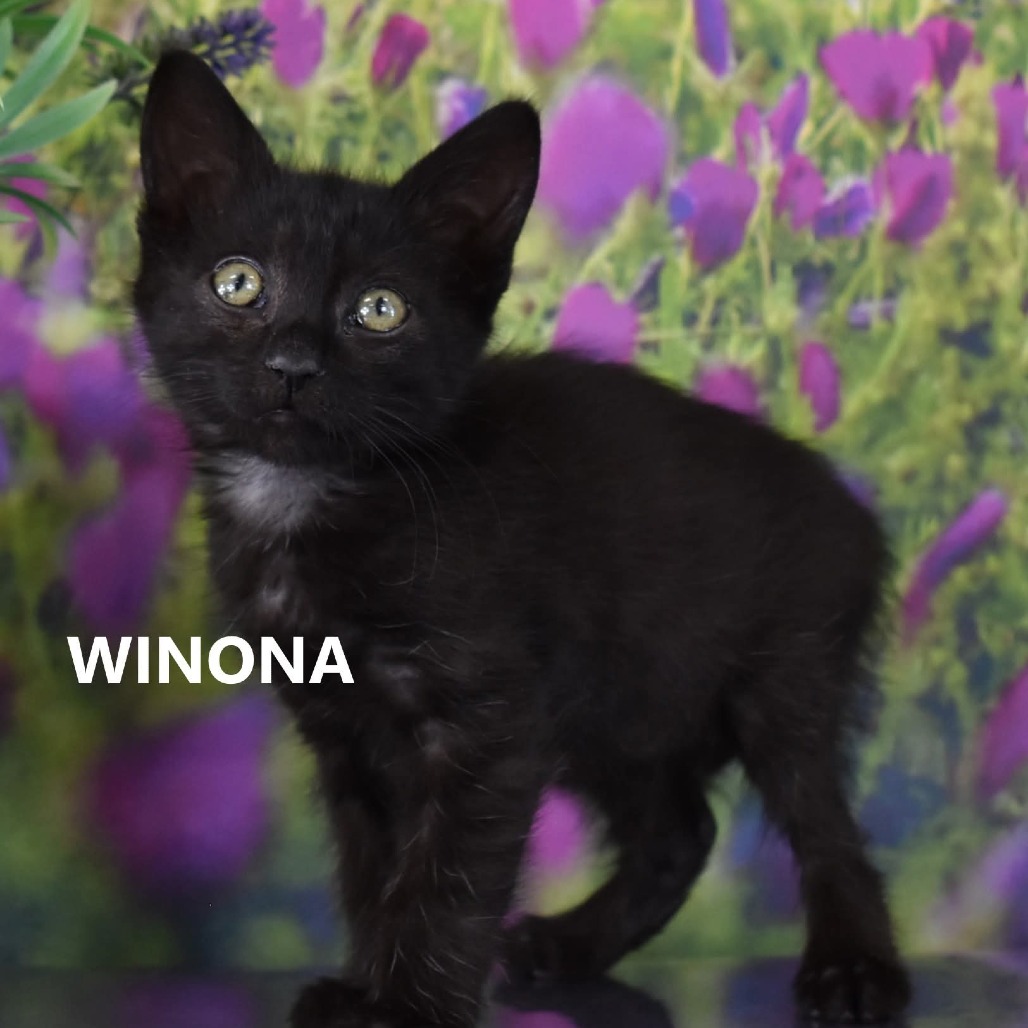Winona