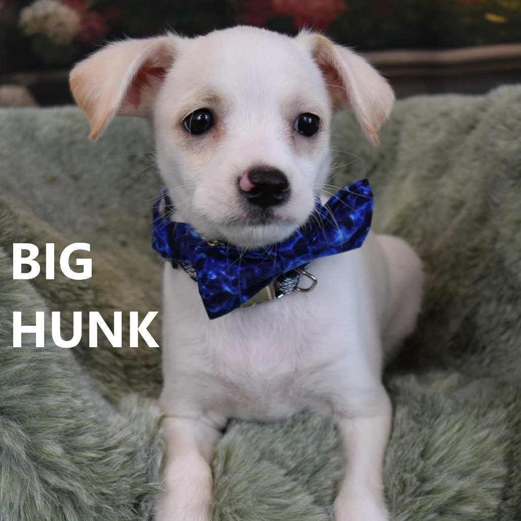 Big Hunk