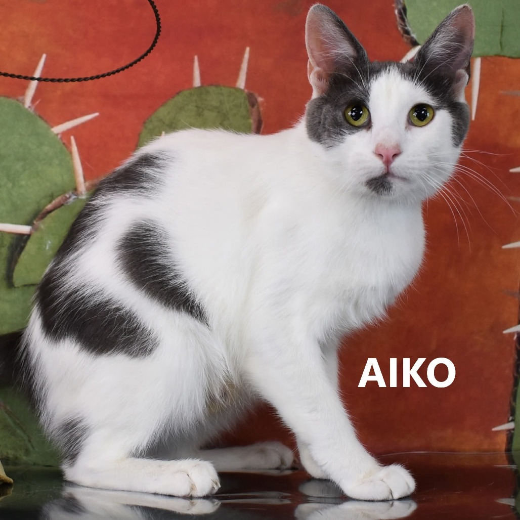 Aiko