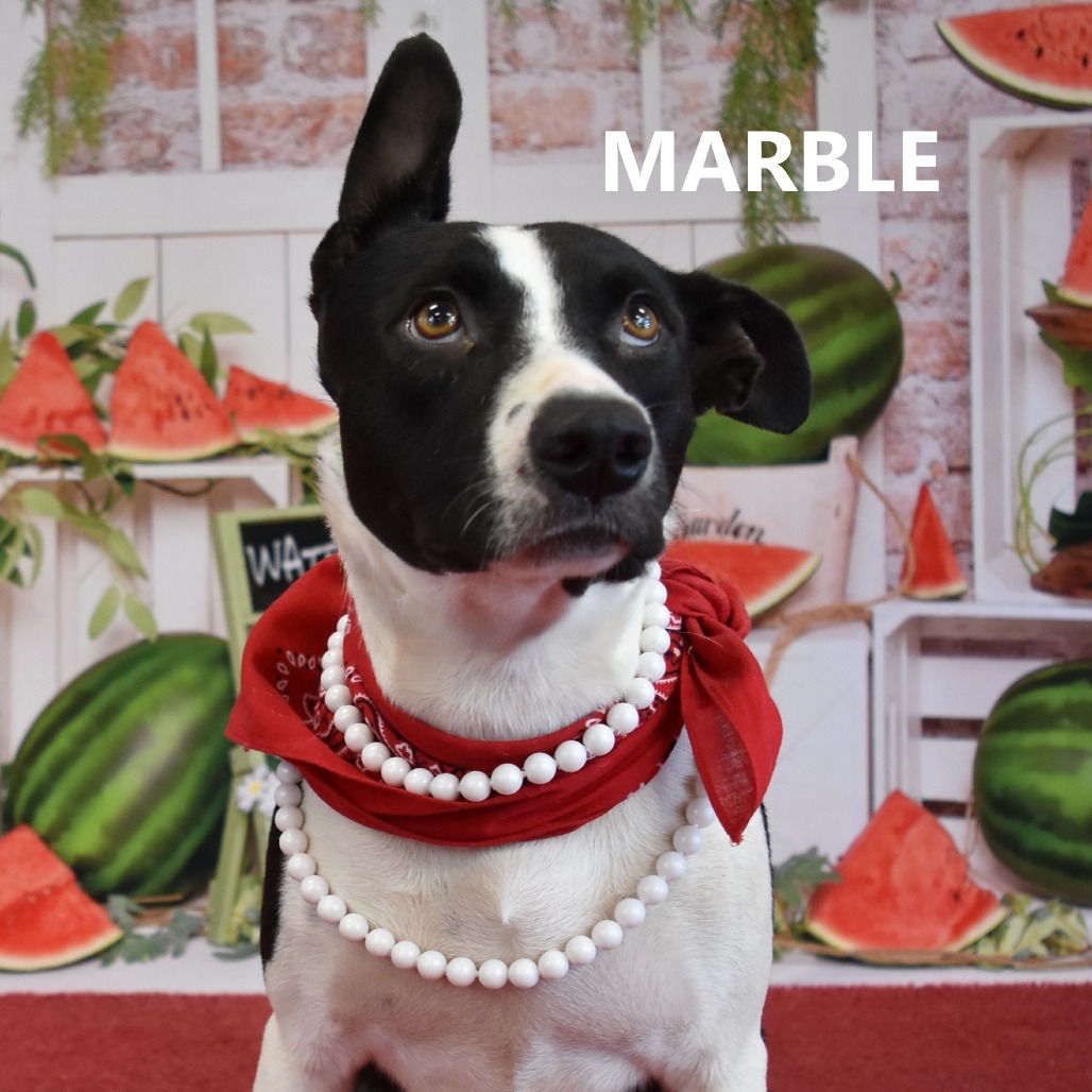 Marble