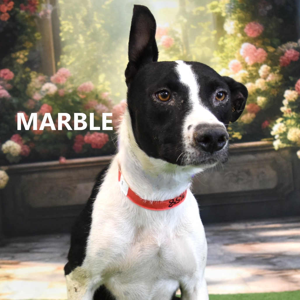 Marble