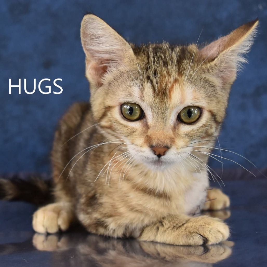 Hugs