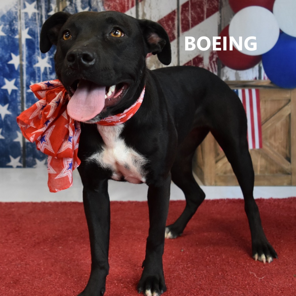 Boeing