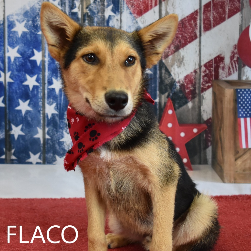 Flaco