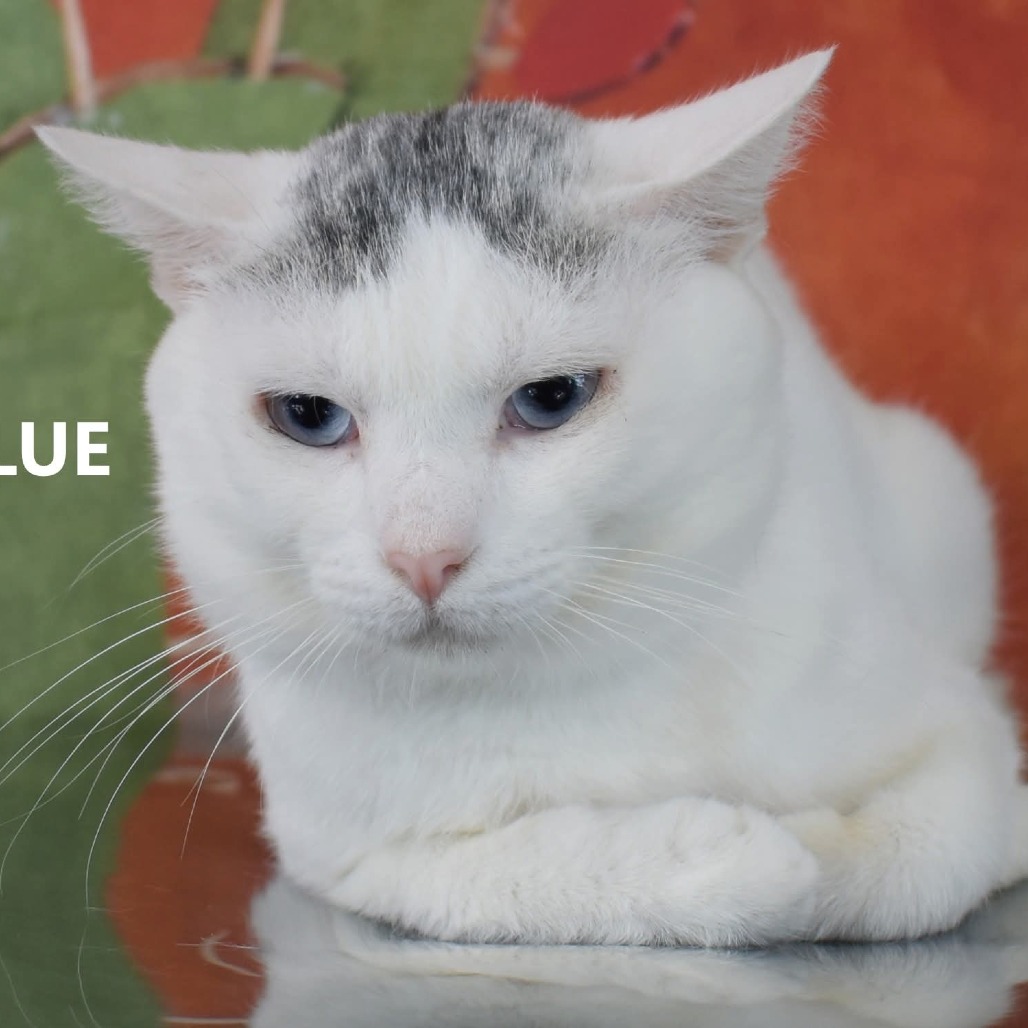 Blue