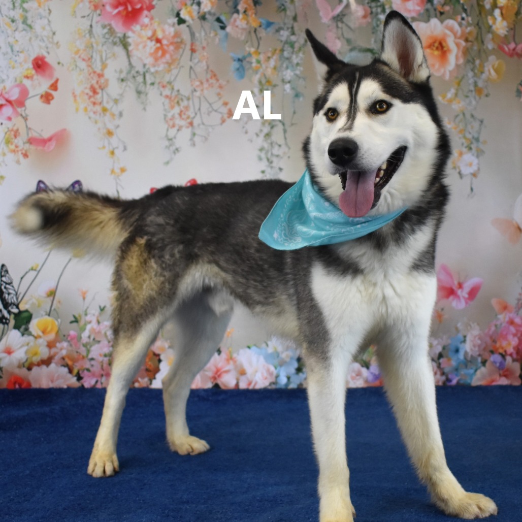 Al