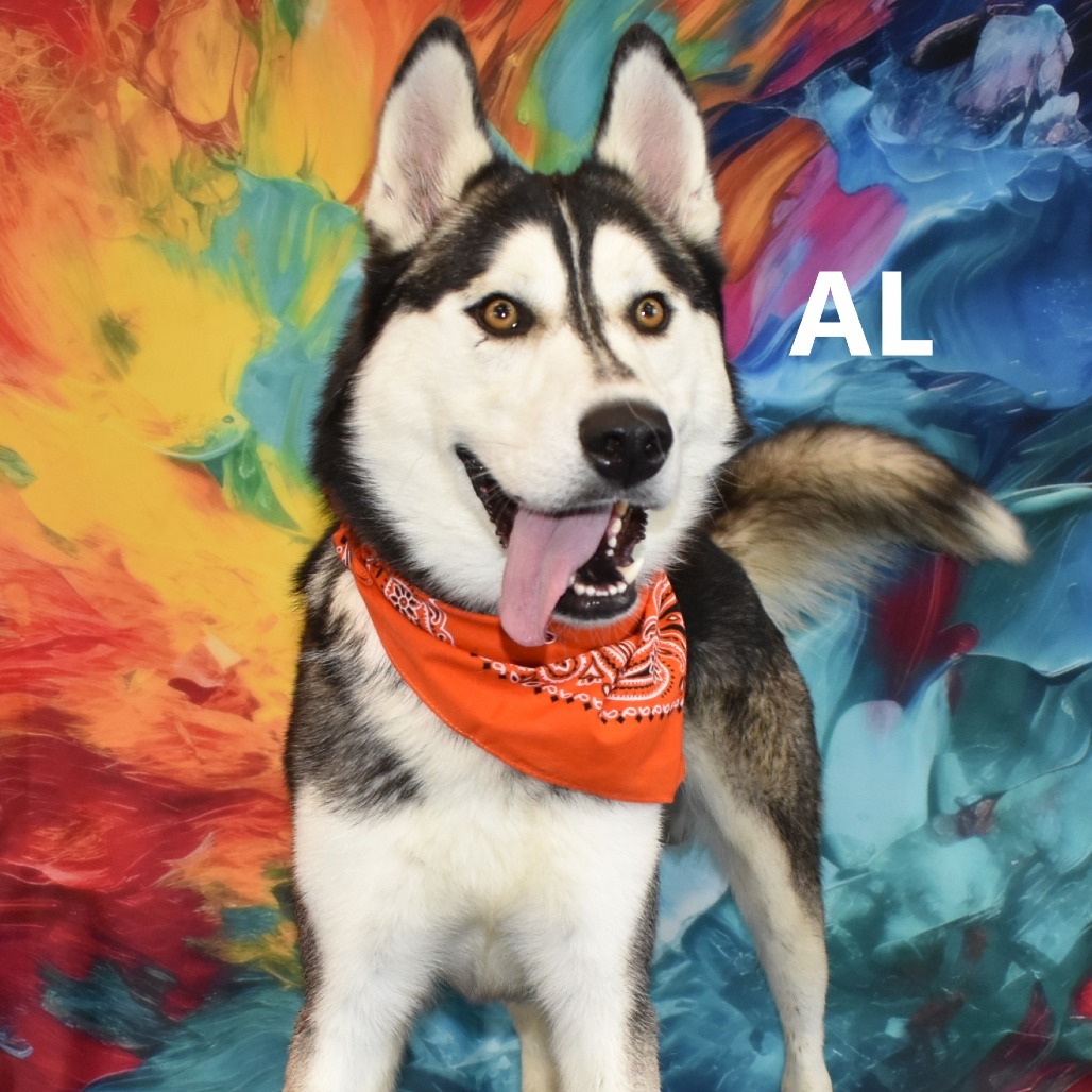 Al