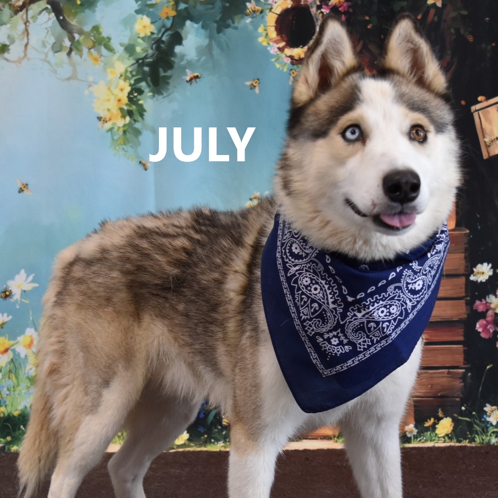 July