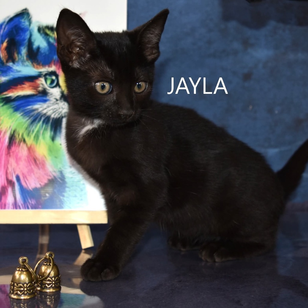 Jayla