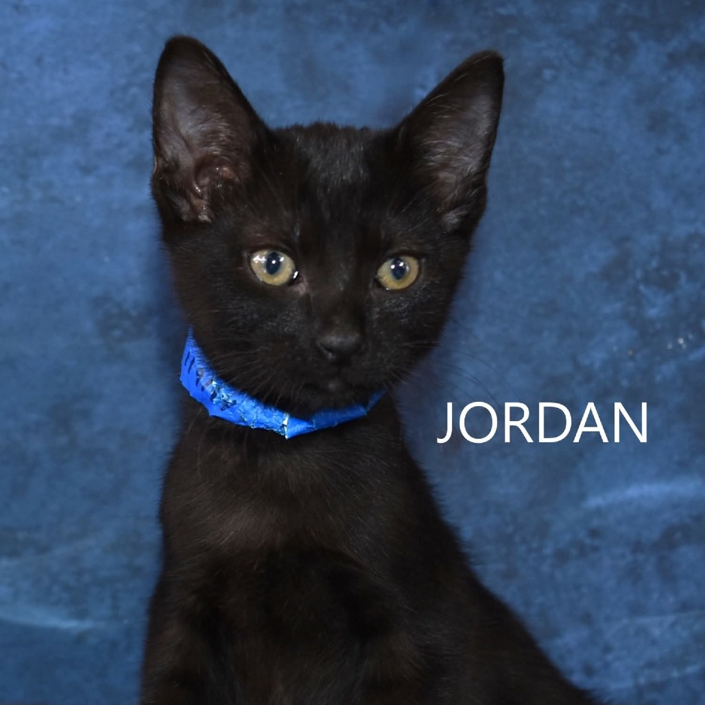 Jordan