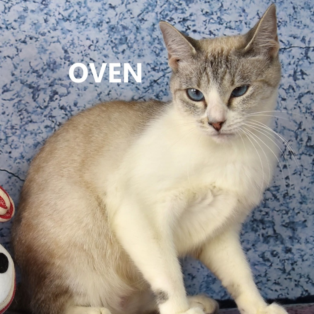 Oven