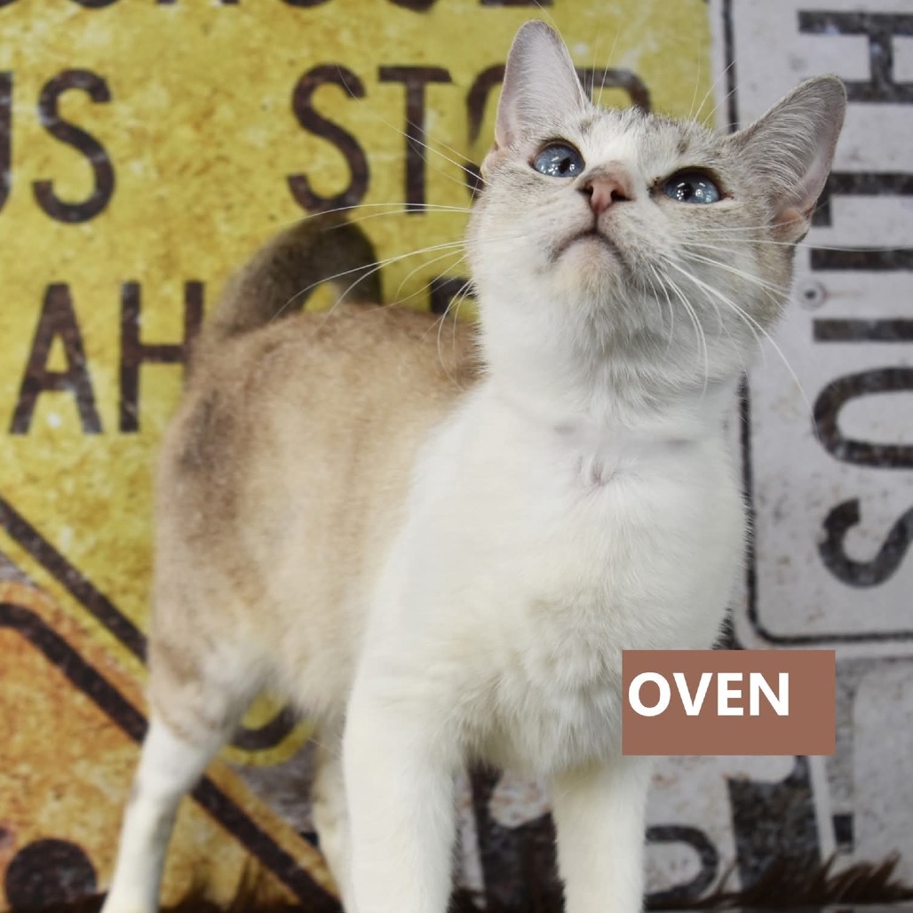 Oven