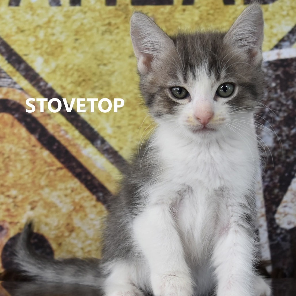 Stovetop