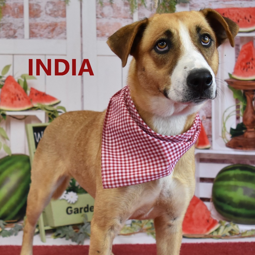 India