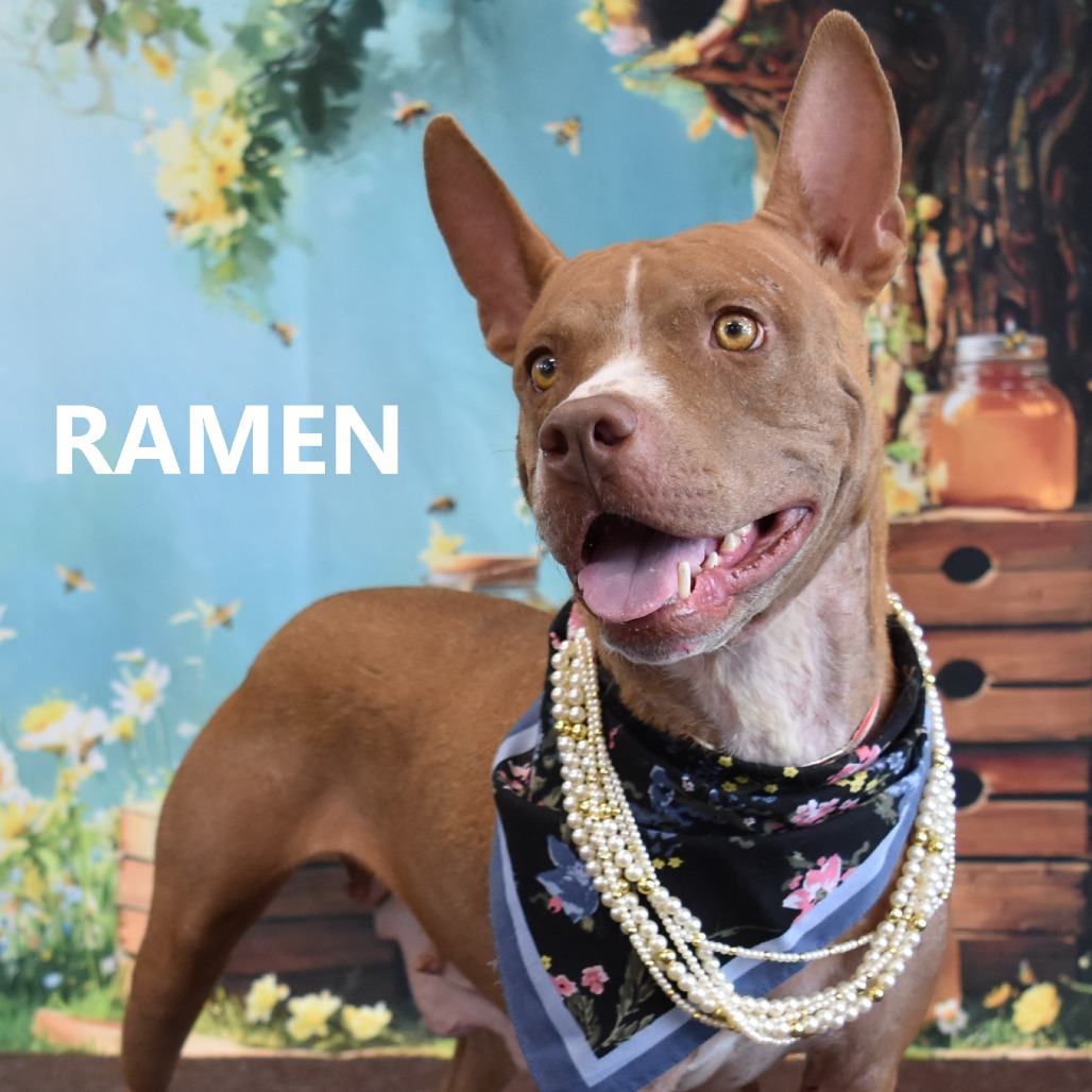 Ramen