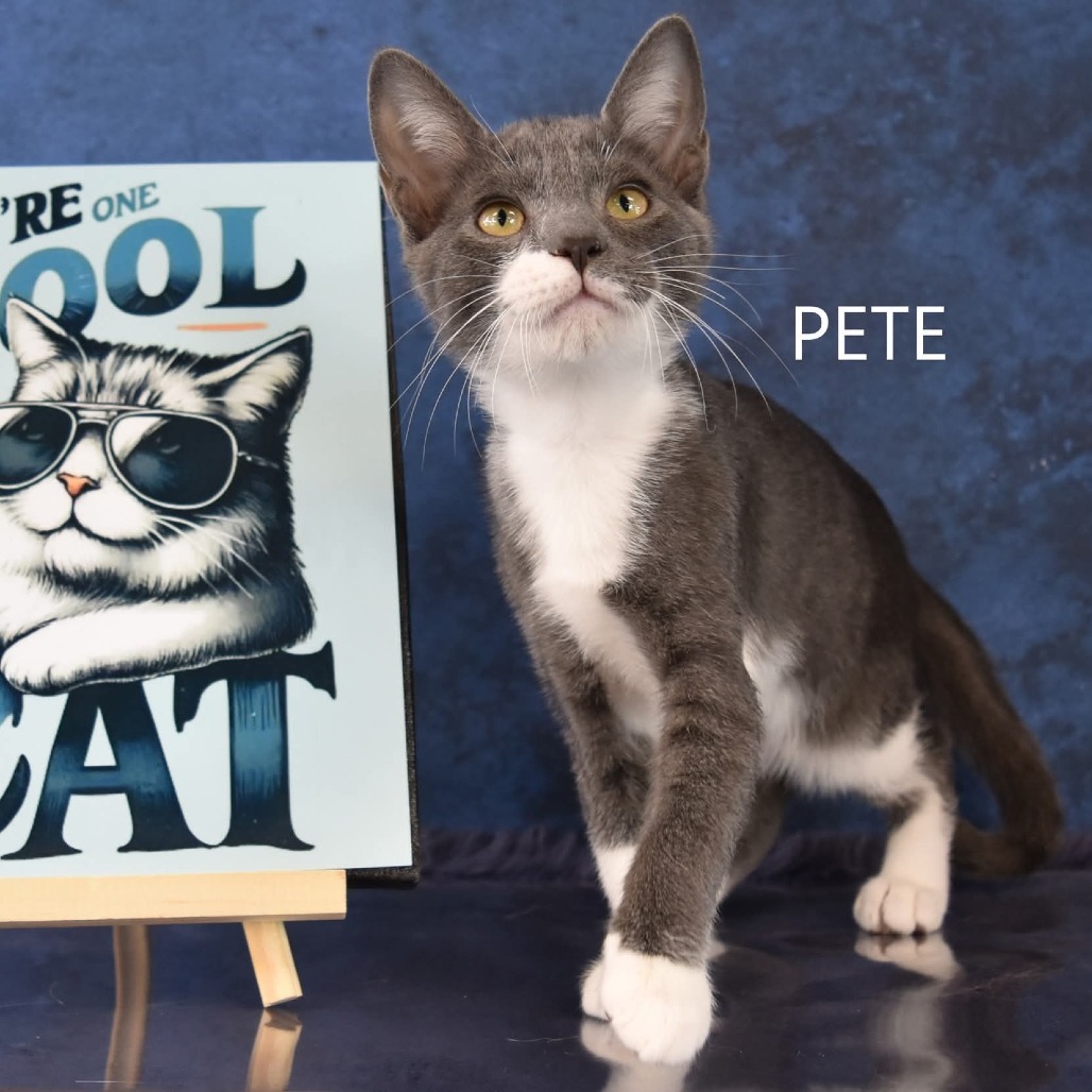 Pete