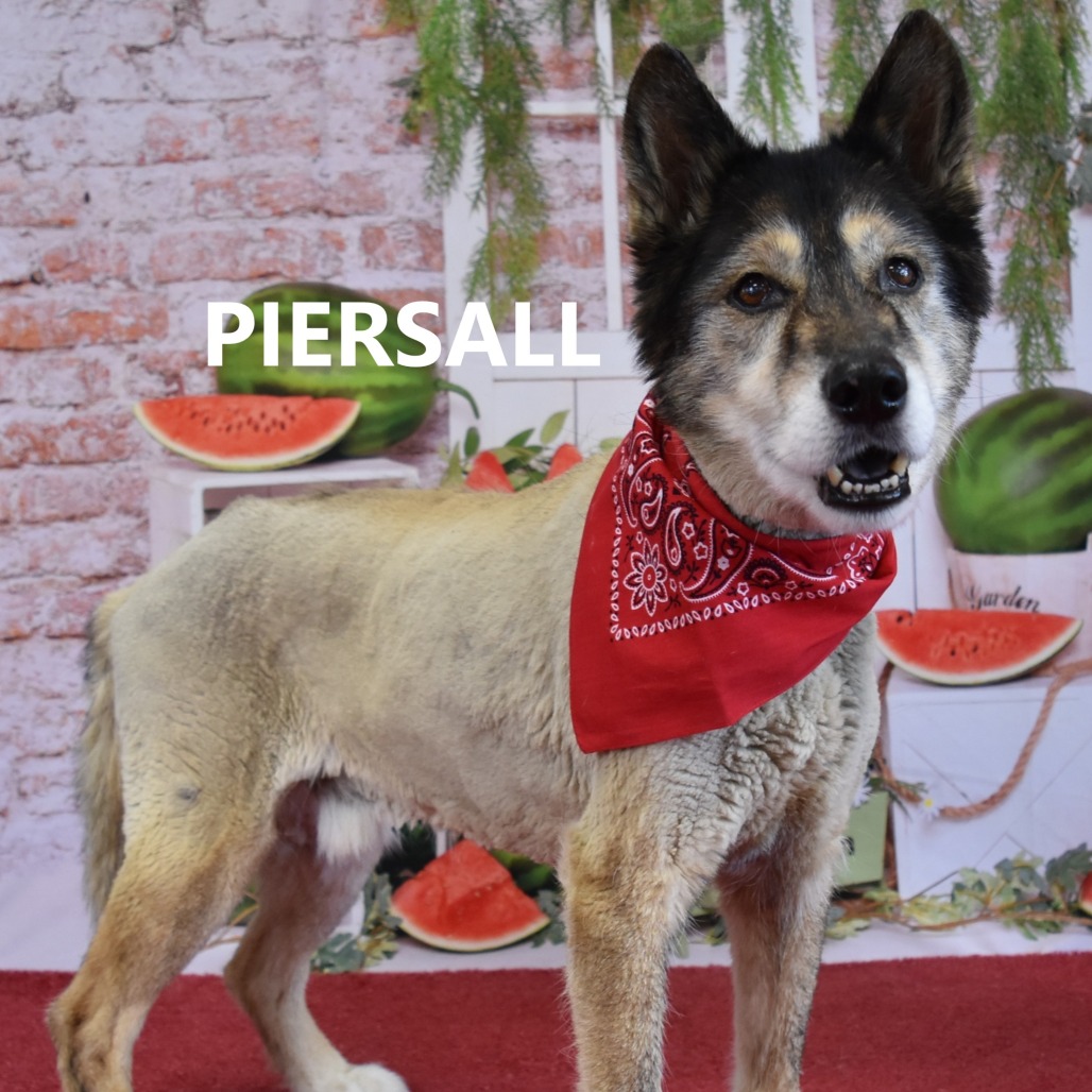 Piersall