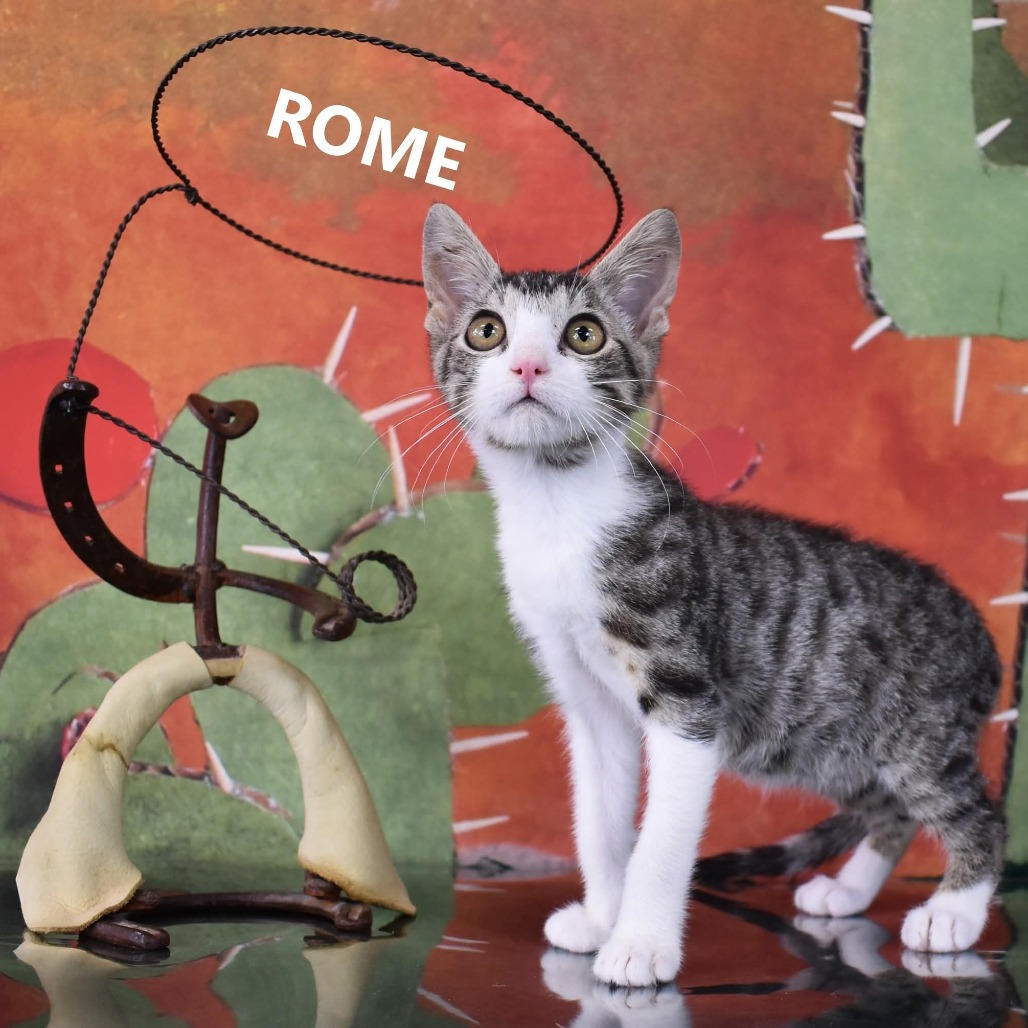 Rome