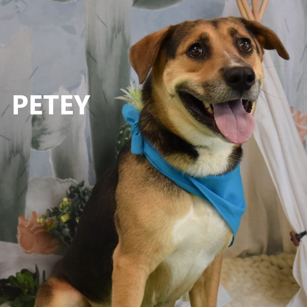 Petey 