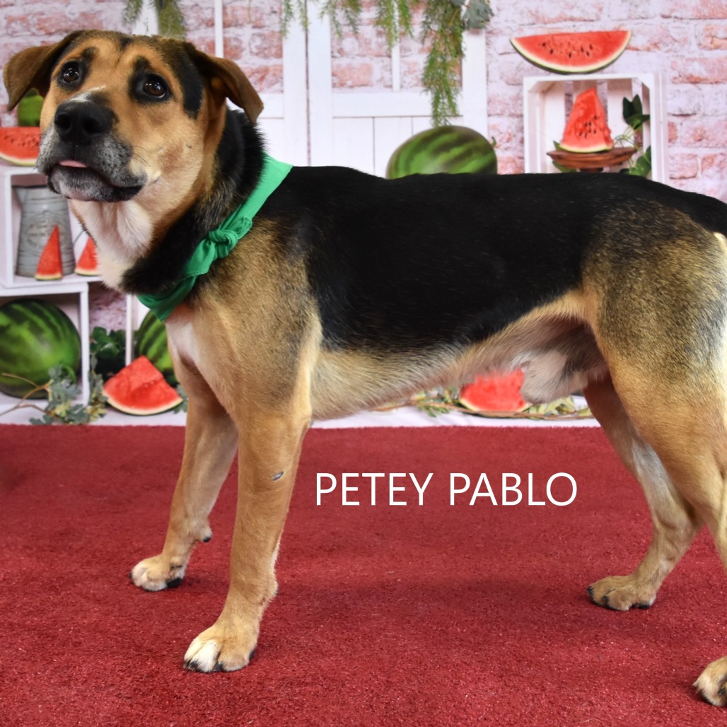 Petey 