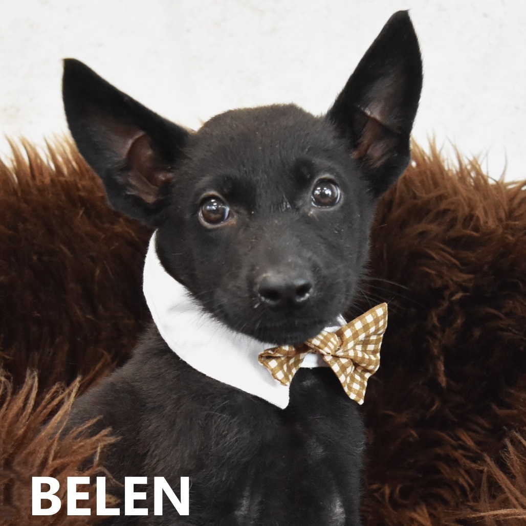 Belen