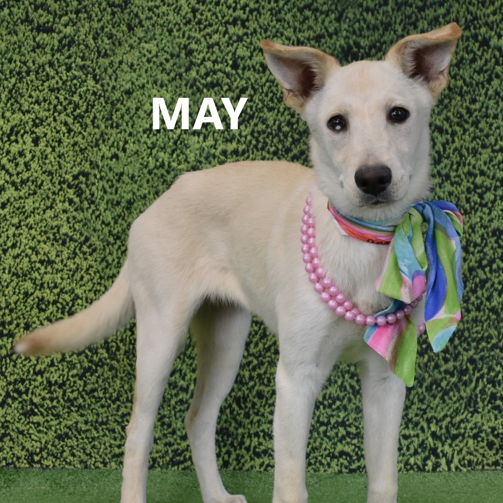 May