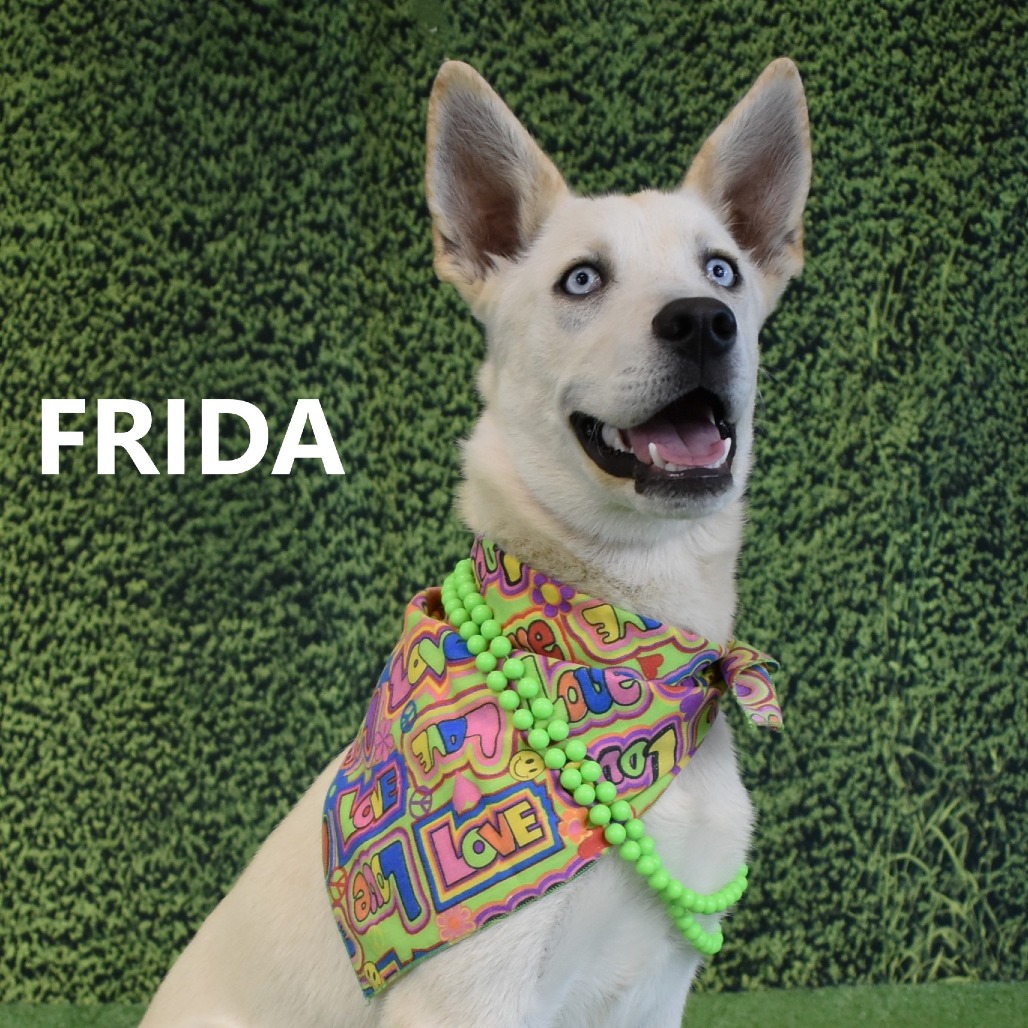 Frida