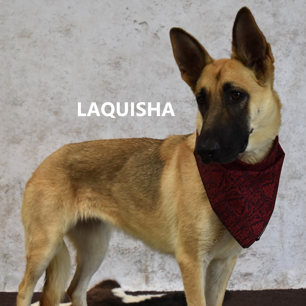 Laquisha 