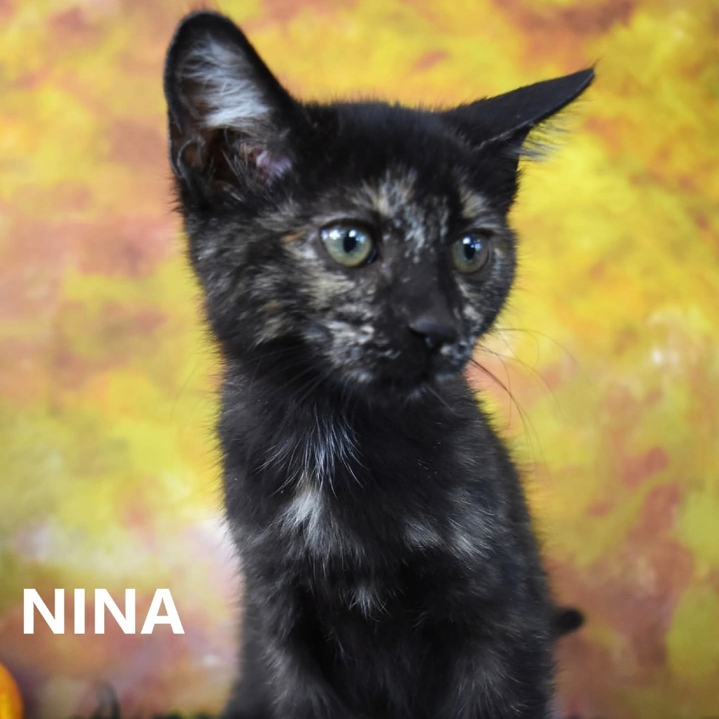 Nina