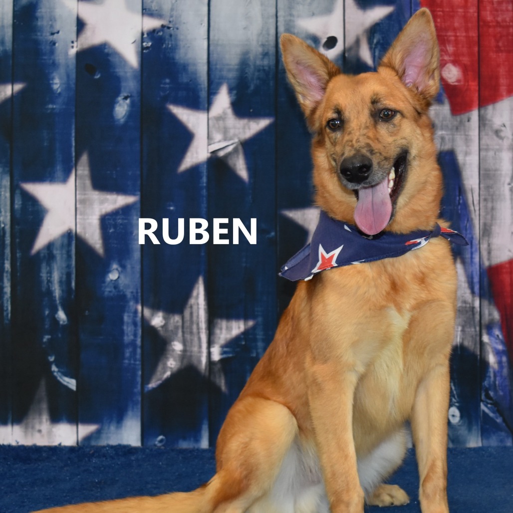 Ruben
