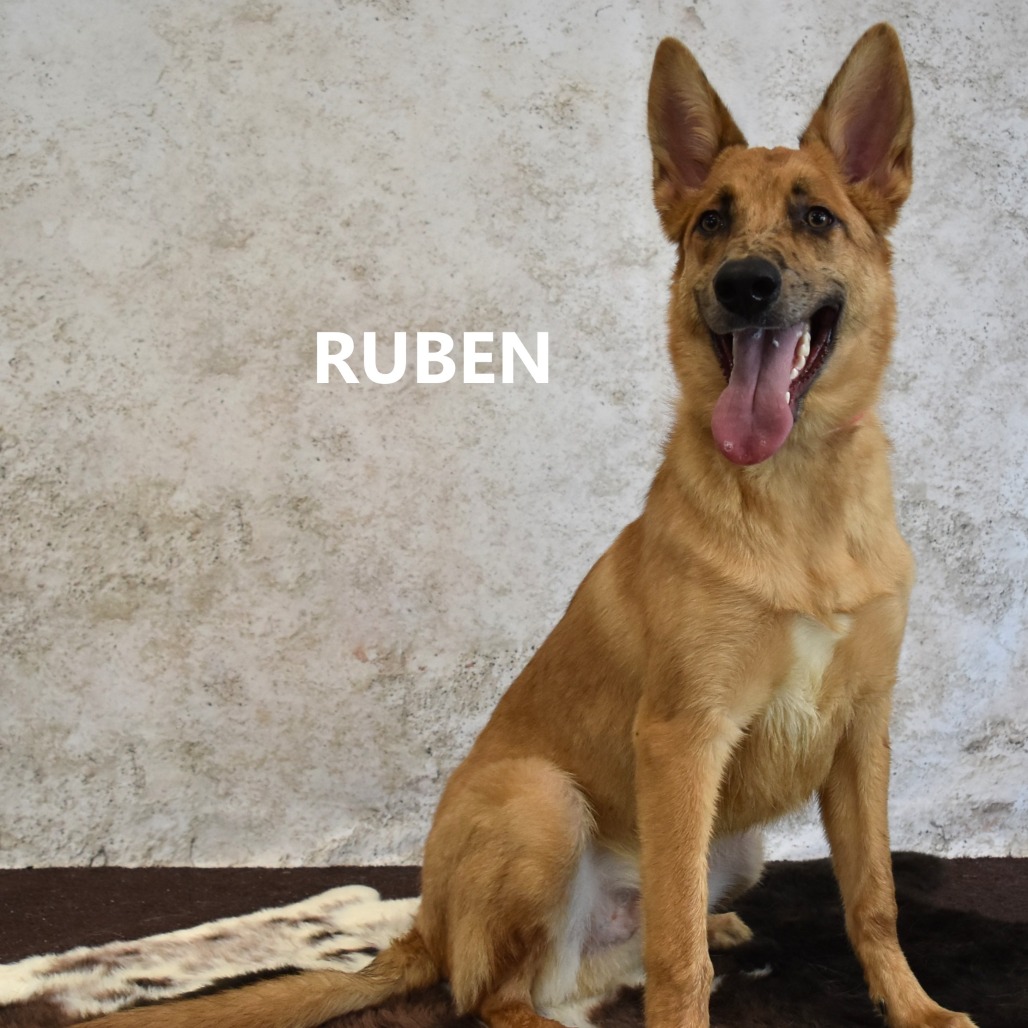 Ruben