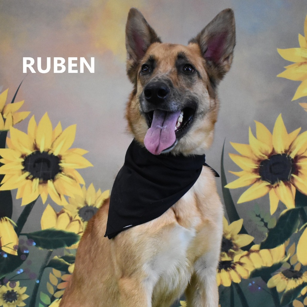 Ruben