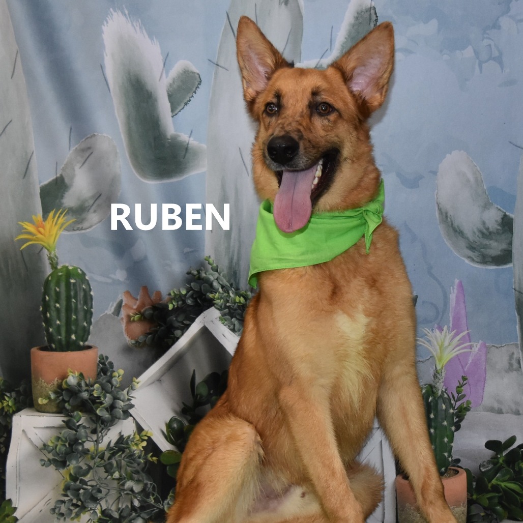 Ruben