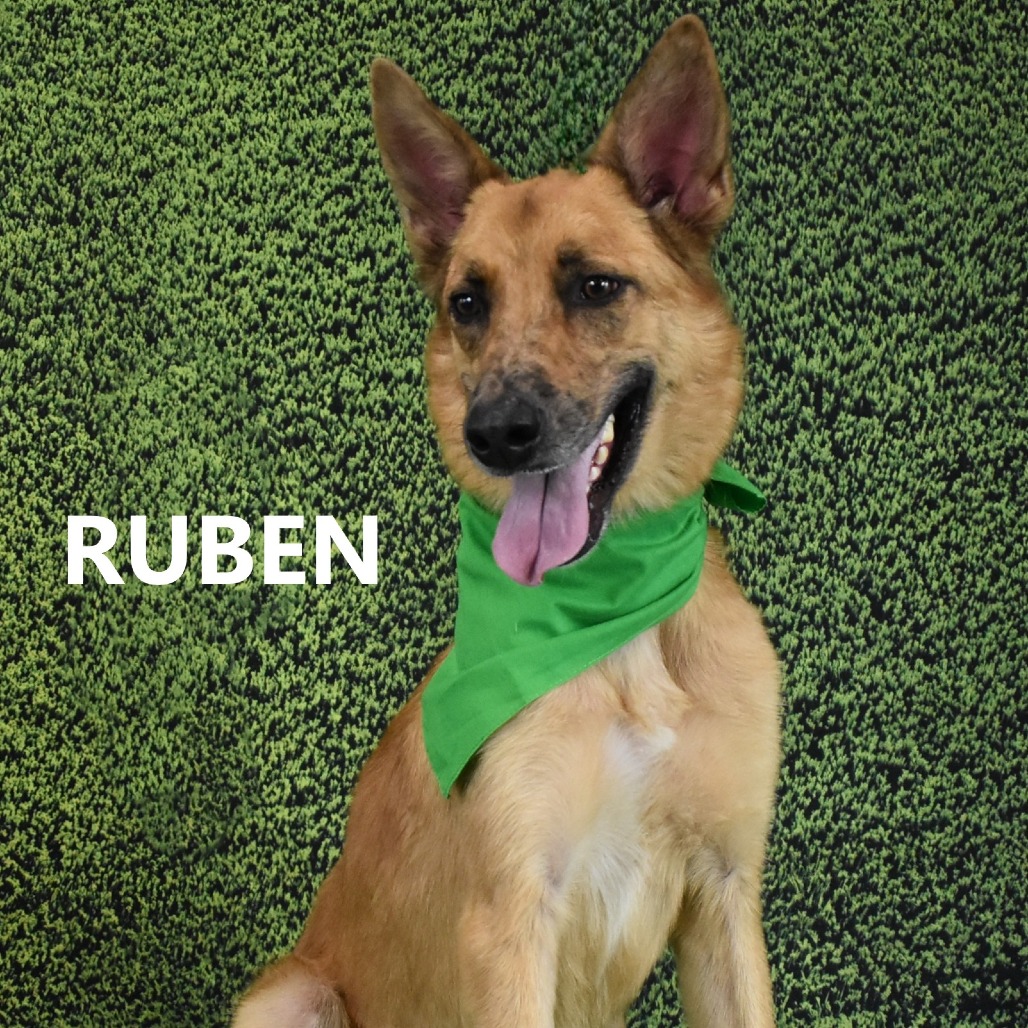 Ruben
