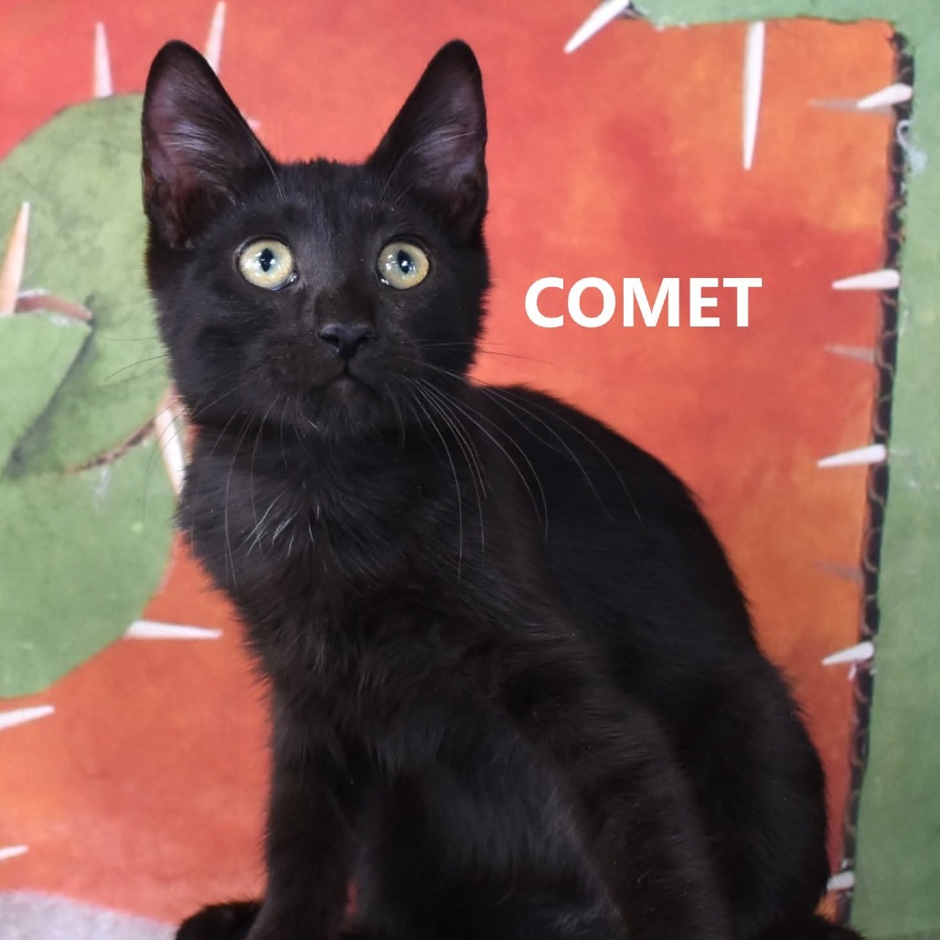 Comet