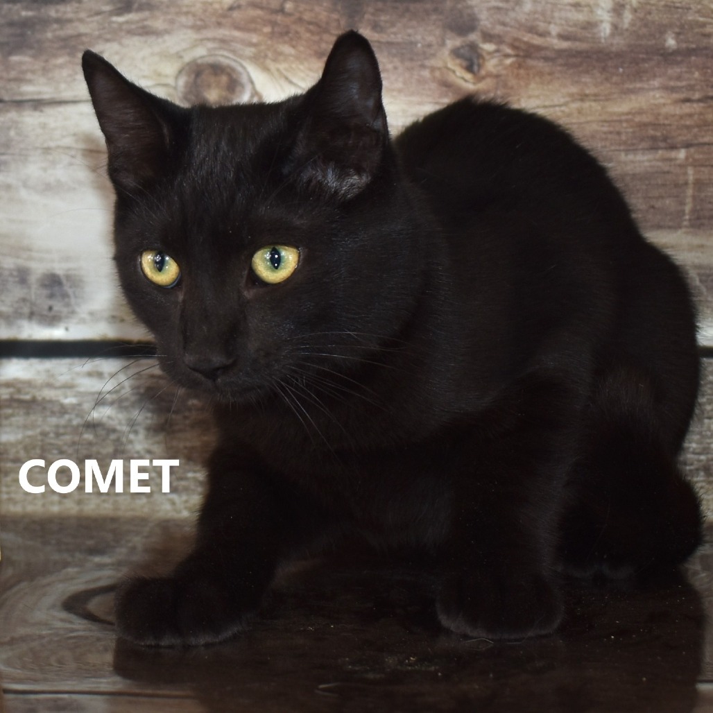 Comet/Zac