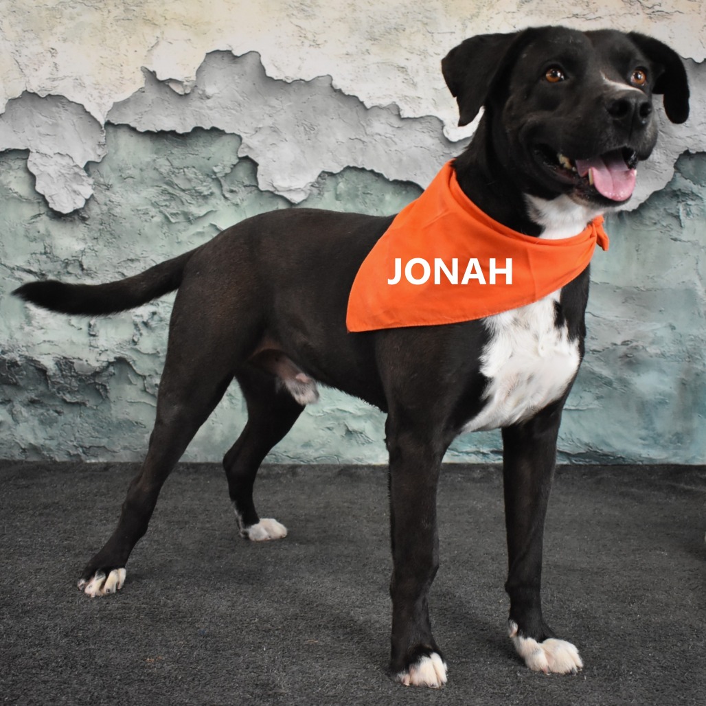 Jonah