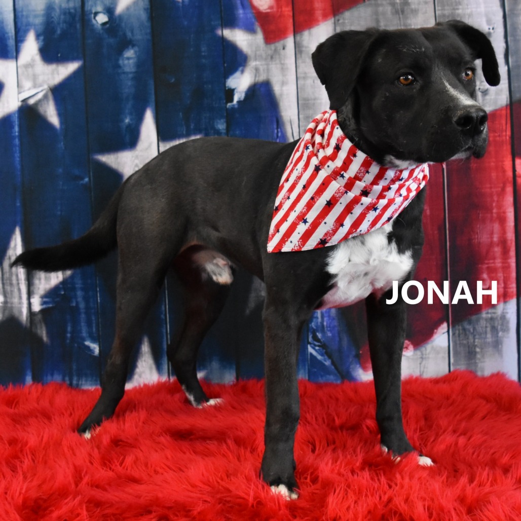 Jonah
