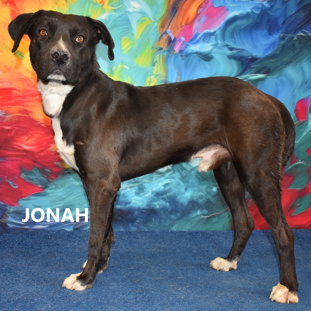 Jonah