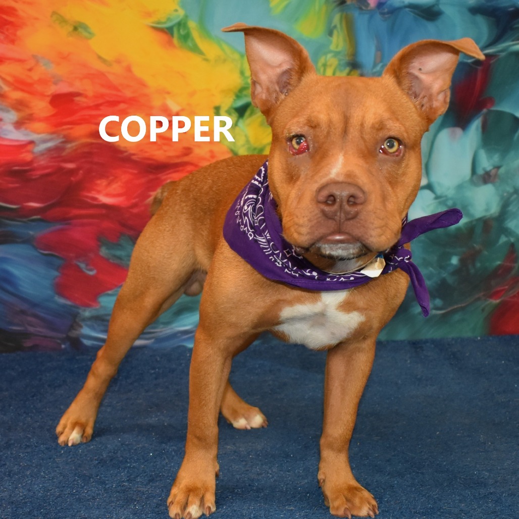 Copper