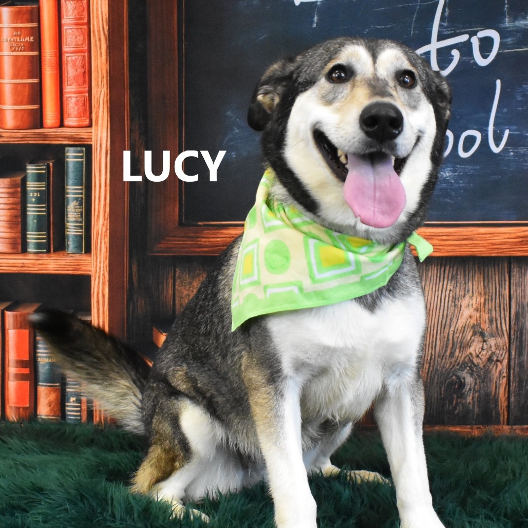 Lucy